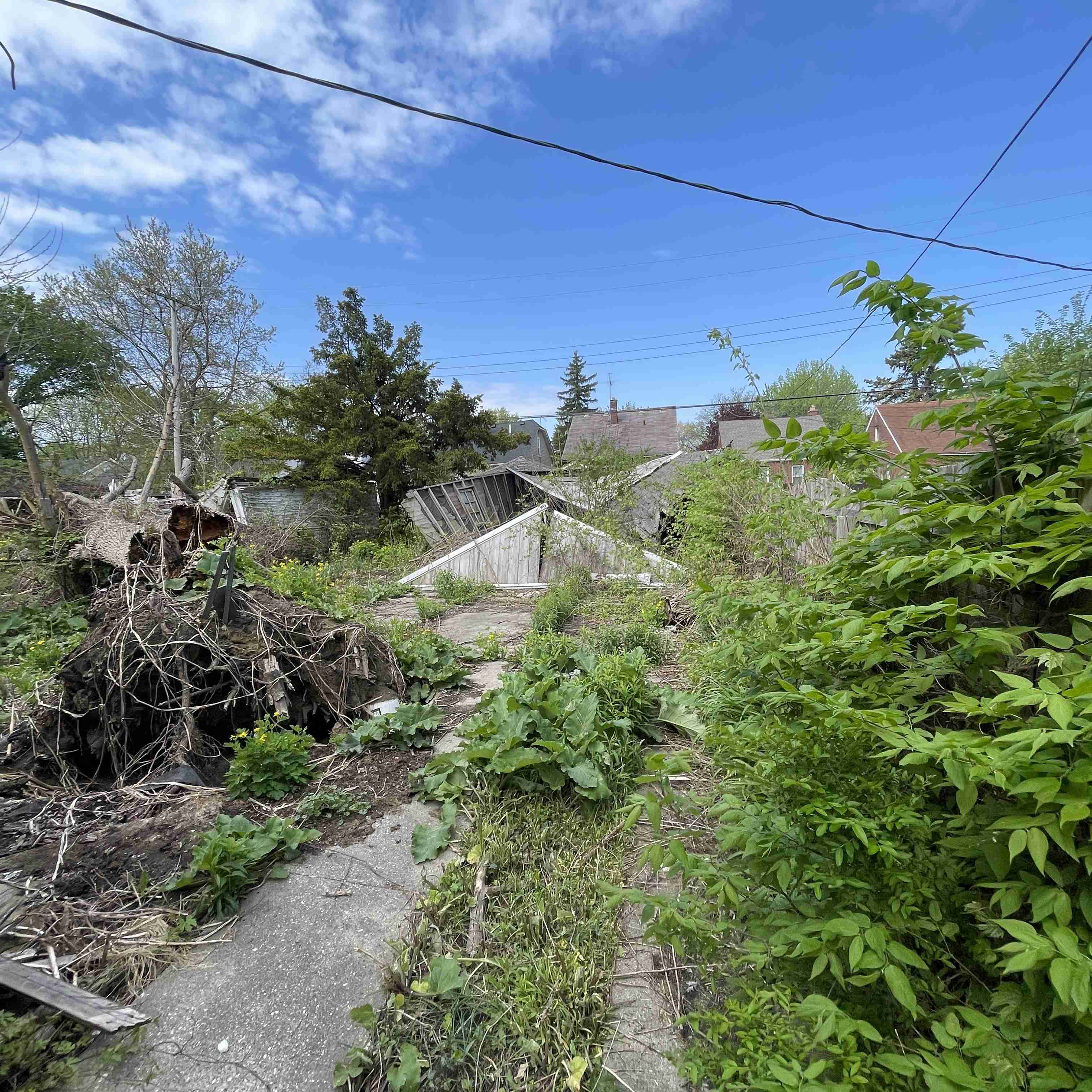 18653 Westphalia (17).jpg